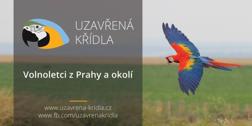 Uzavřená křídla